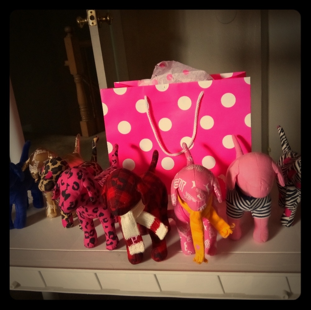 PINK medium size DOG bundle